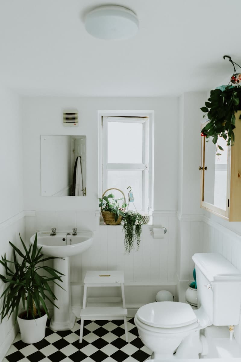 Bathroom Renovation Trends 2026: From Functional to Luxurious